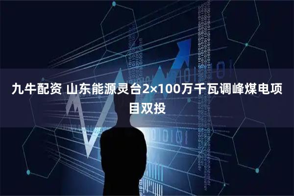 九牛配资 山东能源灵台2×100万千瓦调峰煤电项目双投