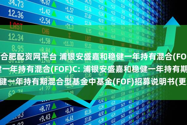 合肥配资网平台 浦银安盛嘉和稳健一年持有混合(FOF)A,浦银安盛嘉和稳健一年持有混合(FOF)C: 浦银安盛嘉和稳健一年持有期混合型基金中基金(FOF)招募说明书(更新)2025年第1号