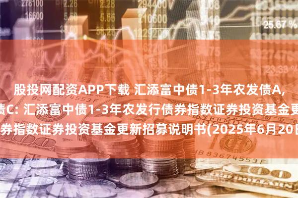 股投网配资APP下载 汇添富中债1-3年农发债A,汇添富中债1-3年农发债C: 汇添富中债1-3年农发行债券指数证券投资基金更新招募说明书(2025年6月20日更新)